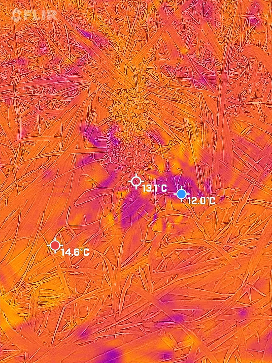 35.182814, 139.615236